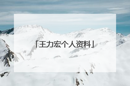 王力宏个人资料