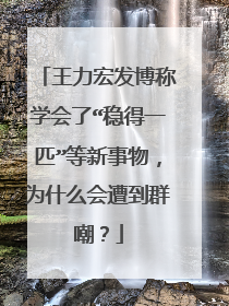 王力宏发博称学会了“稳得一匹”等新事物，为什么会遭到群嘲？