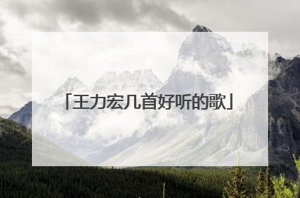 王力宏几首好听的歌