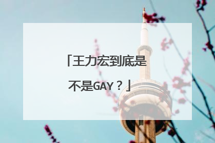 王力宏到底是不是GAY？
