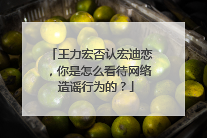 王力宏否认宏迪恋,你是怎么看待网络造谣行为的?