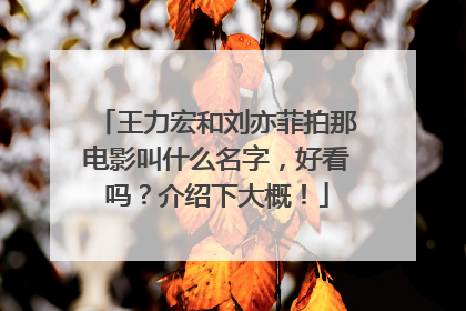 王力宏和刘亦菲拍那电影叫什么名字,好看吗?介绍下大概!