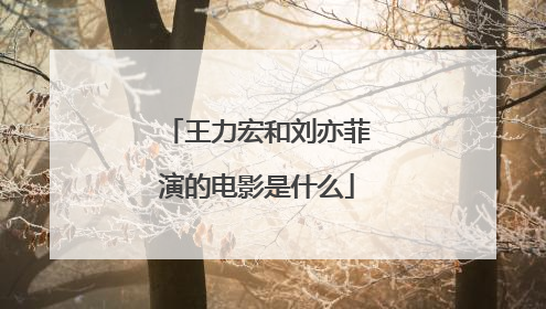 王力宏和刘亦菲演的电影是什么