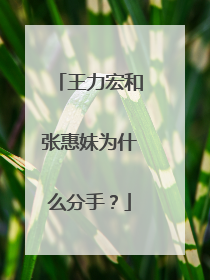 王力宏和张惠妹为什么分手？