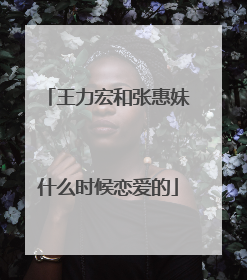 王力宏和张惠妹什么时候恋爱的