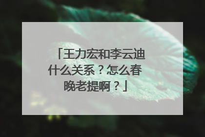 王力宏和李云迪什么关系?怎么春晚老提啊?