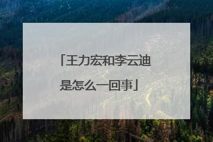 王力宏和李云迪是怎么一回事