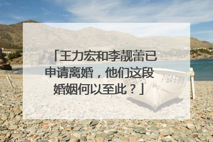 王力宏和李靓蕾已申请离婚,他们这段婚姻何以至此?