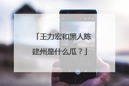 王力宏和黑人陈建州是什么瓜？