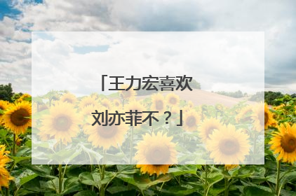 王力宏喜欢刘亦菲不?