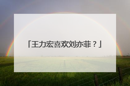 王力宏喜欢刘亦菲？