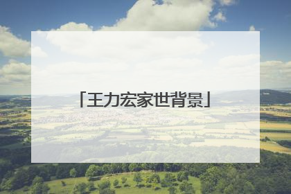 王力宏家世背景