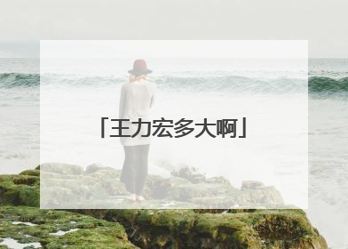 王力宏多大啊