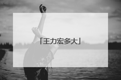 王力宏多大