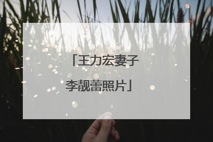 王力宏妻子李靓蕾照片