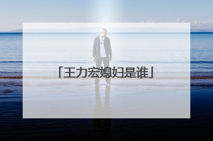 王力宏媳妇是谁