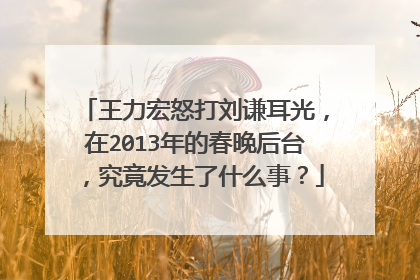 王力宏怒打刘谦耳光,在2013年的春晚后台,究竟发生了什么事?
