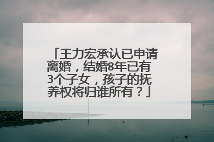 王力宏承认已申请离婚，结婚8年已有3个子女，孩子的抚养权将归谁所有？