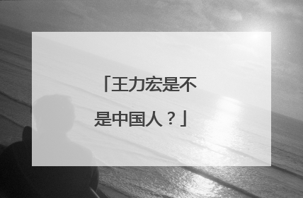 王力宏是不是中国人？