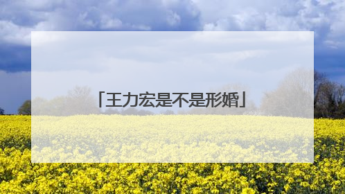 王力宏是不是形婚