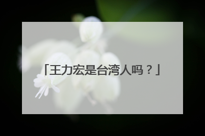 王力宏是台湾人吗?