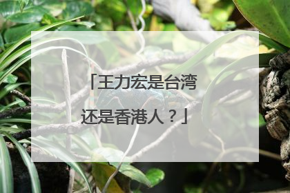 王力宏是台湾还是香港人?