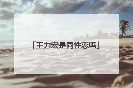 王力宏是同性恋吗