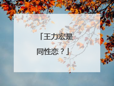 王力宏是同性恋?