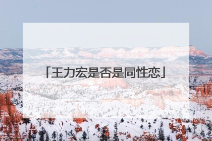 王力宏是否是同性恋