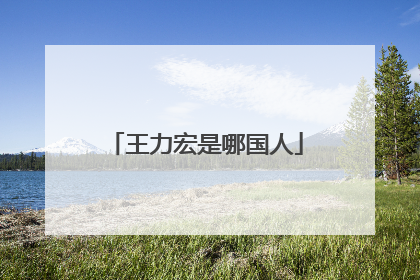 王力宏是哪国人