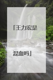 王力宏是混血吗