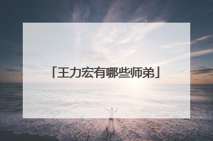 王力宏有哪些师弟