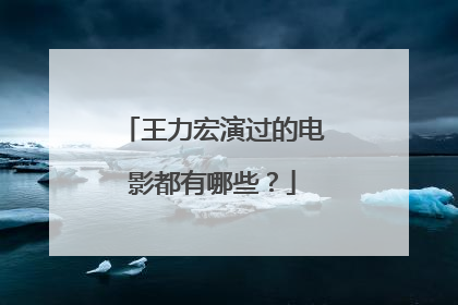 王力宏演过的电影都有哪些？