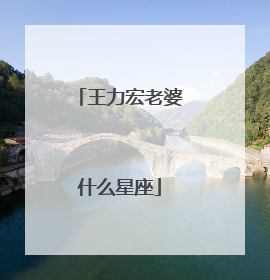 王力宏老婆什么星座