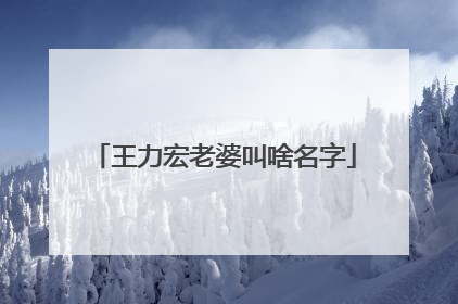 王力宏老婆叫啥名字