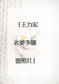 王力宏老婆李靓蕾照片