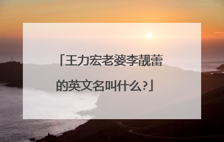 王力宏老婆李靓蕾的英文名叫什么?