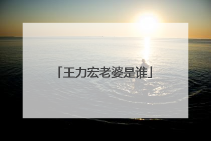 王力宏老婆是谁