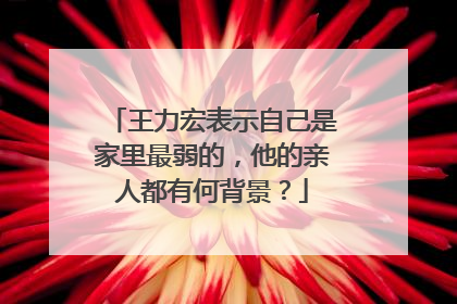王力宏表示自己是家里最弱的，他的亲人都有何背景？