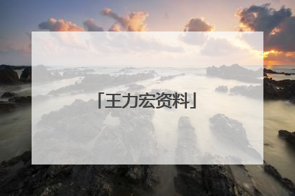 王力宏资料