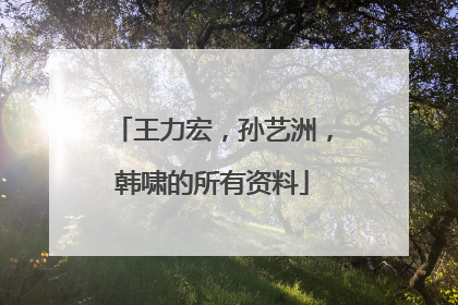 王力宏，孙艺洲，韩啸的所有资料