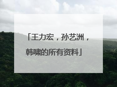 王力宏，孙艺洲，韩啸的所有资料