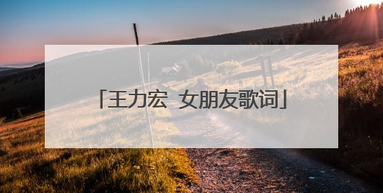 王力宏 女朋友歌词