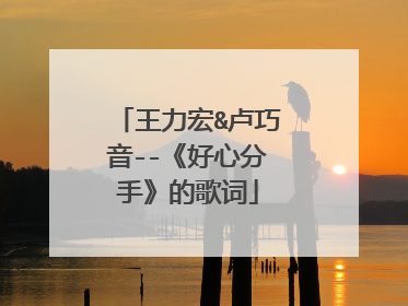 王力宏&卢巧音--《好心分手》的歌词