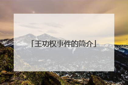 王功权事件的简介