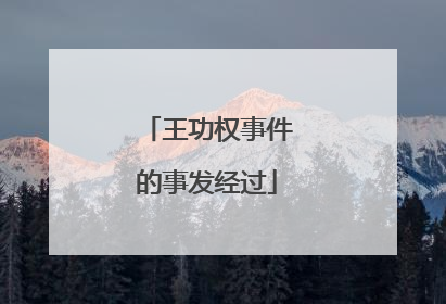 王功权事件的事发经过