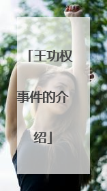 王功权事件的介绍