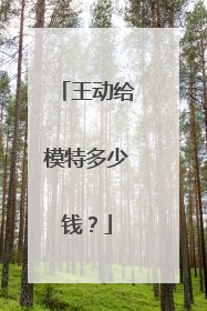 王动给模特多少钱?