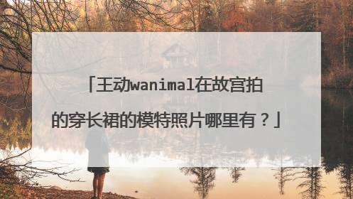 王动wanimal在故宫拍的穿长裙的模特照片哪里有？
