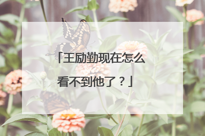 王励勤现在怎么看不到他了?